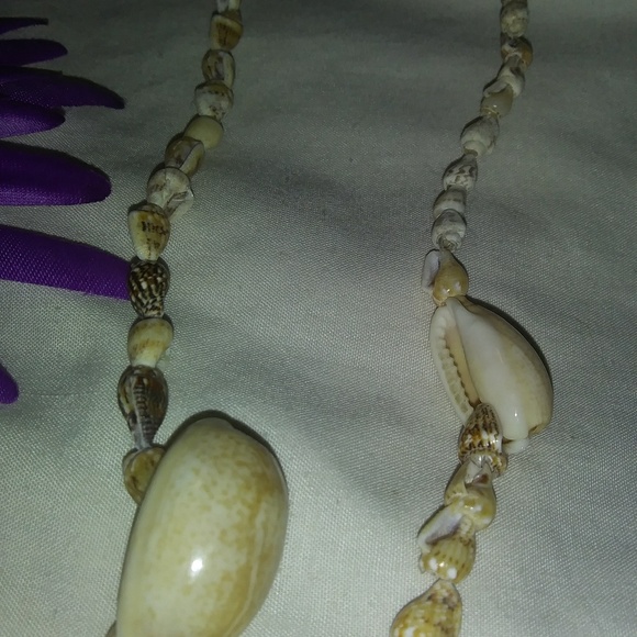 Sea Shell Necklace - Picture 3 of 3